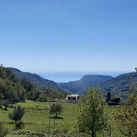 Tenuta Mazzotti *